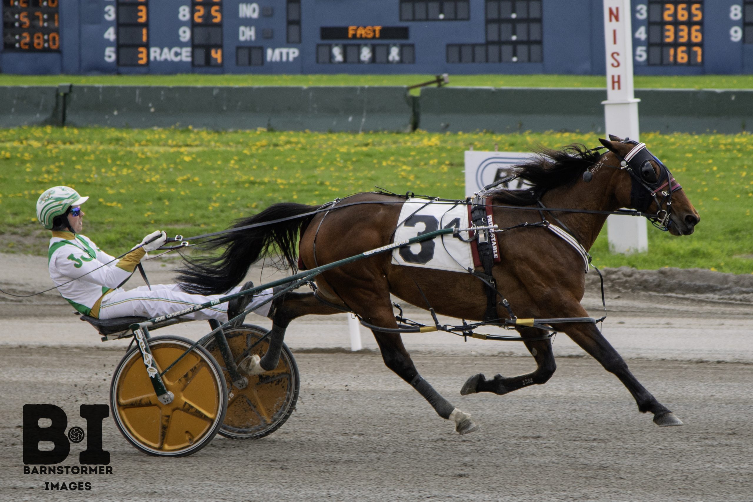 Mary Kat the ‘Cat’s Meow’ in F&M pace