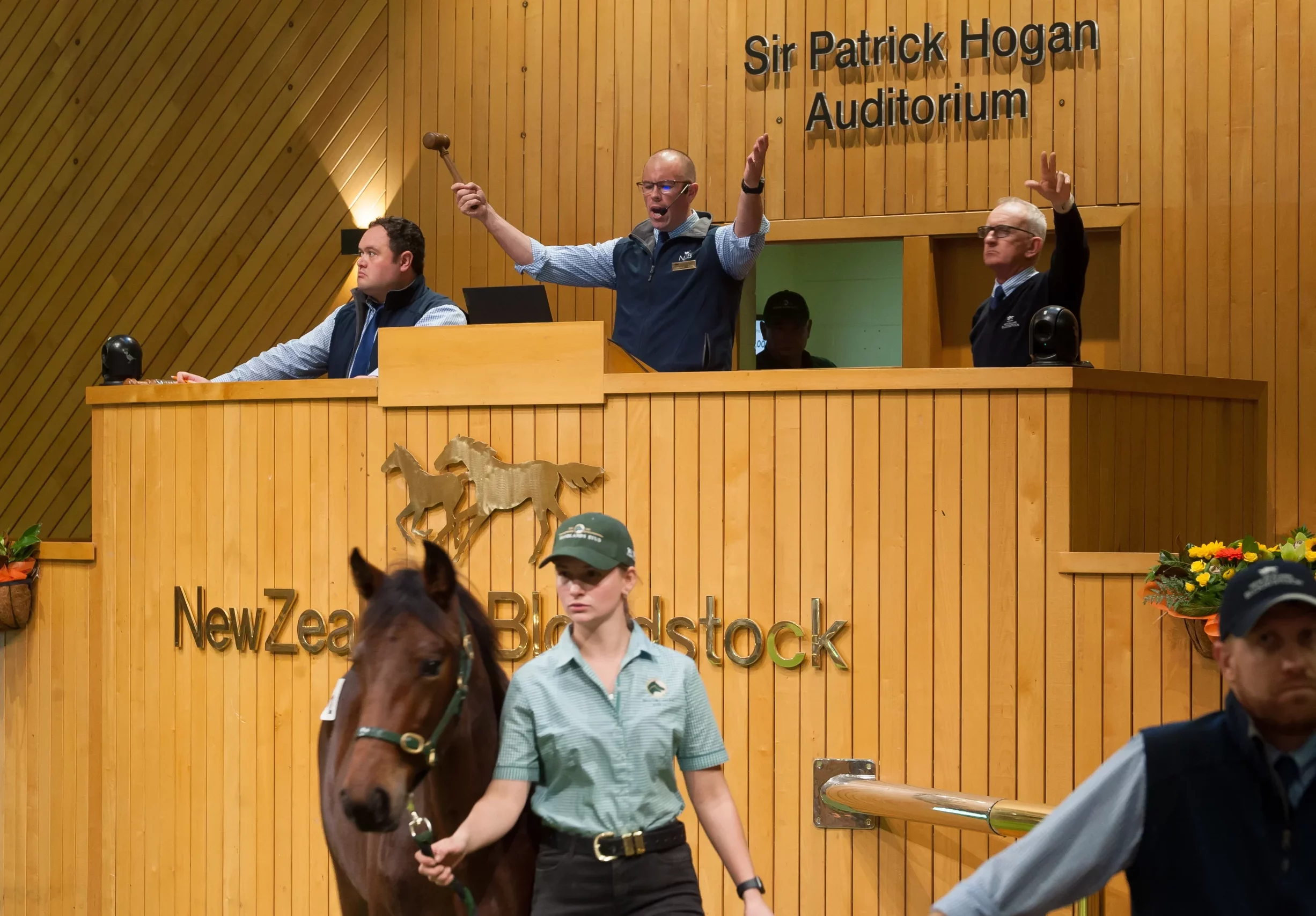 Seven more weanlings added to NZB Weanling sale