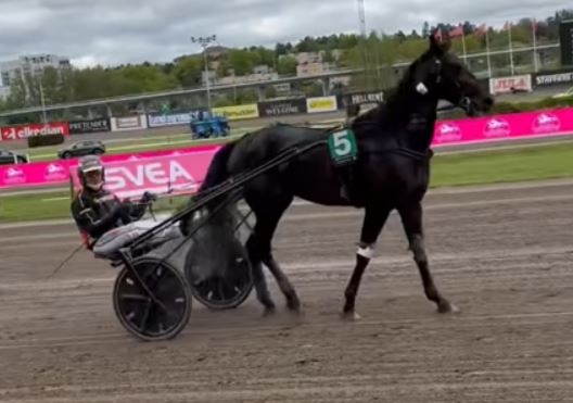 ASVT Trottex to Pasha Newport and Vasterbo Carretera