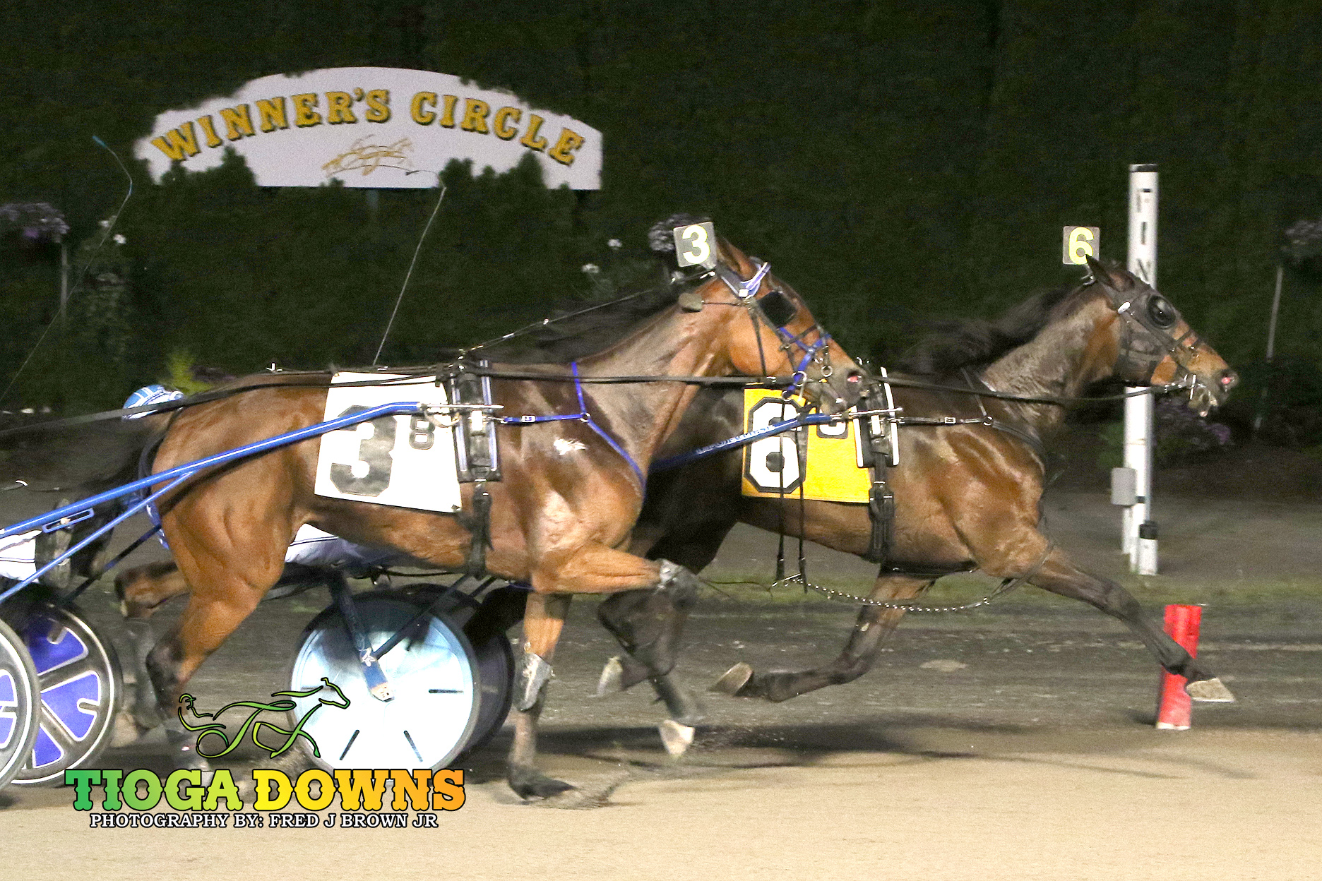 Purple Lord storms to victory