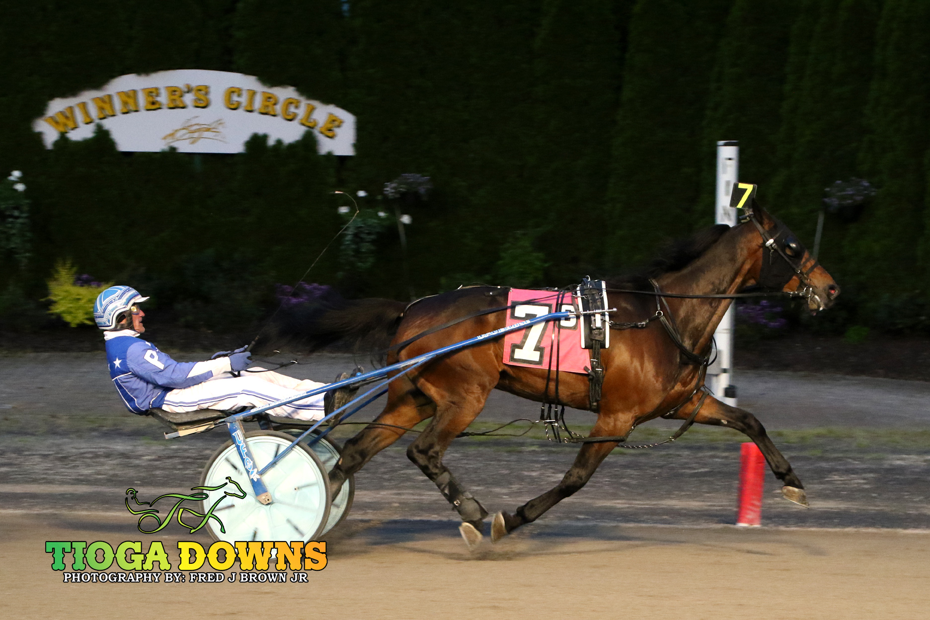 Purple Lord and Pantaleano claim tidy win