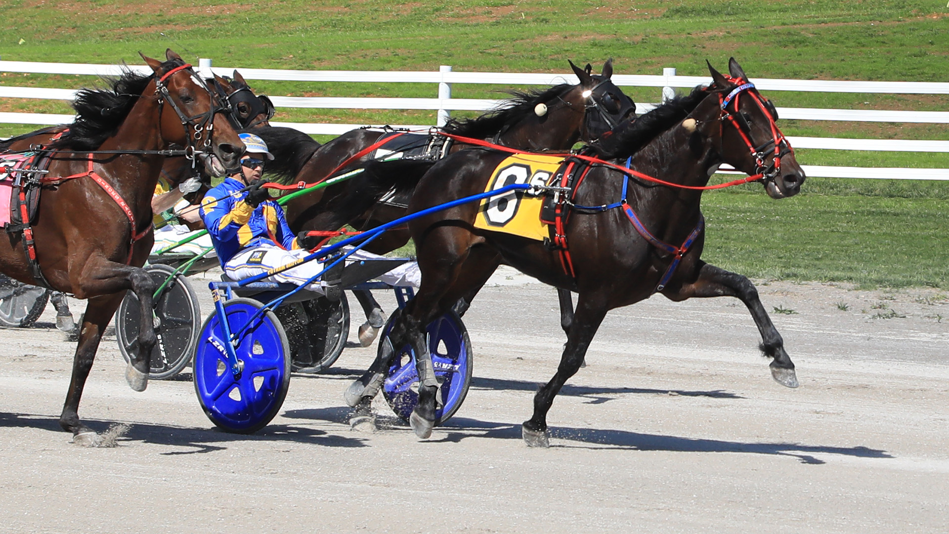 Railee Something rebounds at Oak Grove