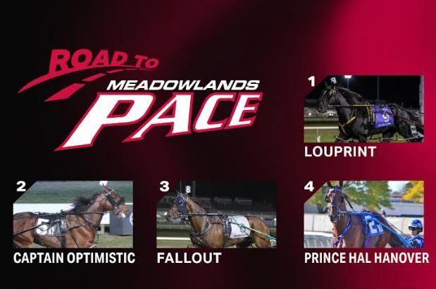 Dave Little’s Road To The Meadowlands Pace week five