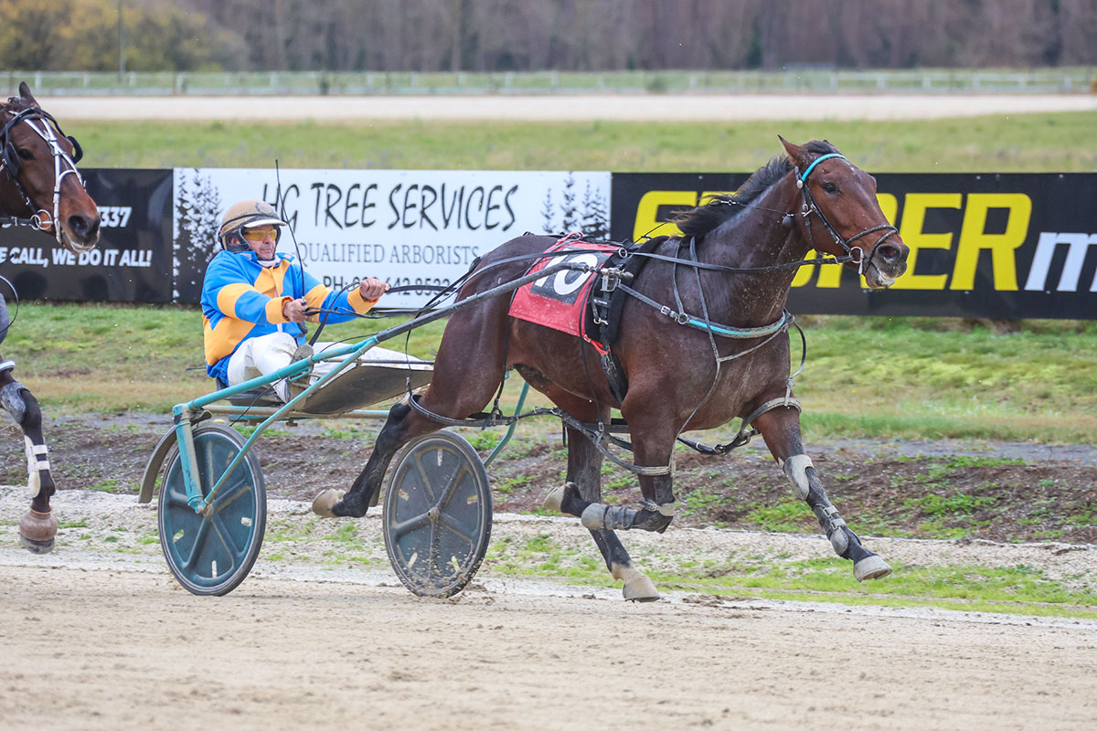 Veteran trainer gets 350th win