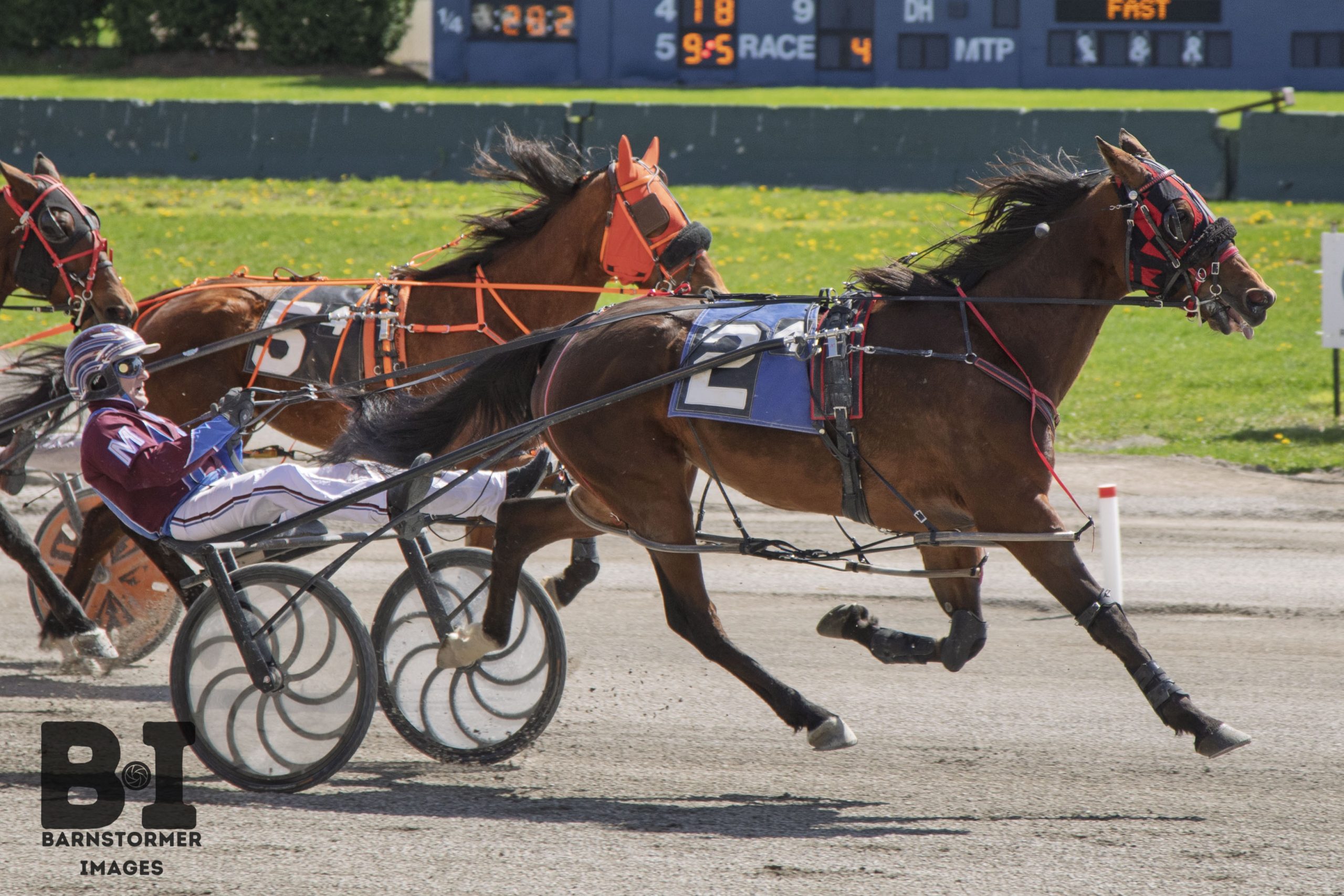 Confident victory to Scenic Adventure