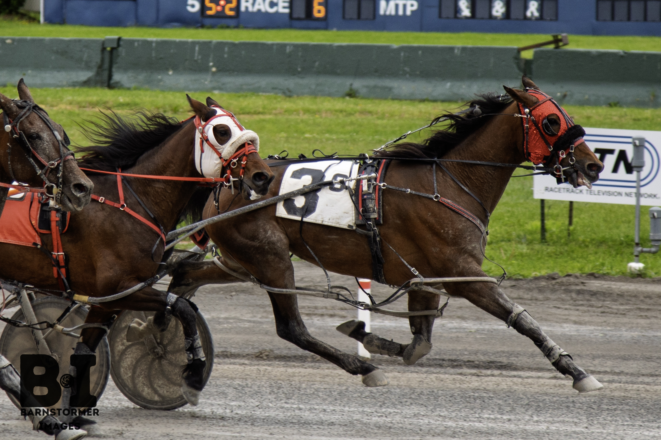 Adventurous win for daughter of Racing Hill