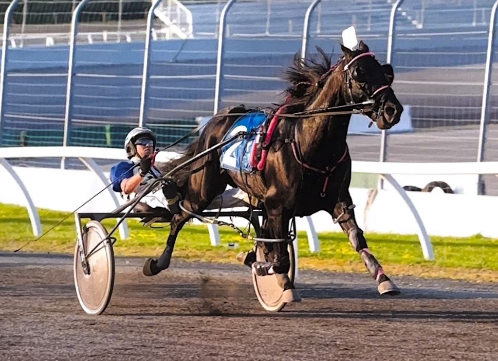 Game Changers – Siddall