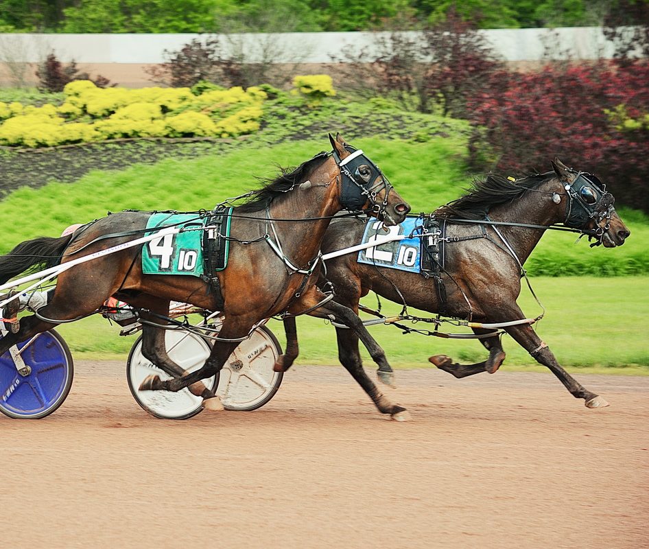 George Nap gets six wins including both top events