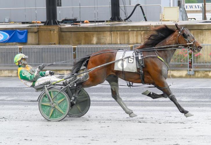 Speed Away continues his success