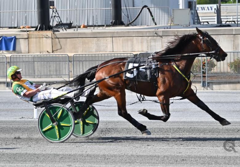 Father Patrick gelding speeds away with main prize