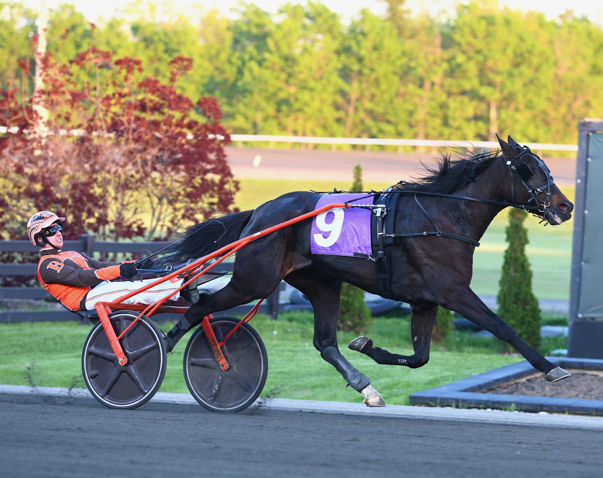 15-1 upset in $140,000 Ontario Sires Stakes (OSS) Gold Series