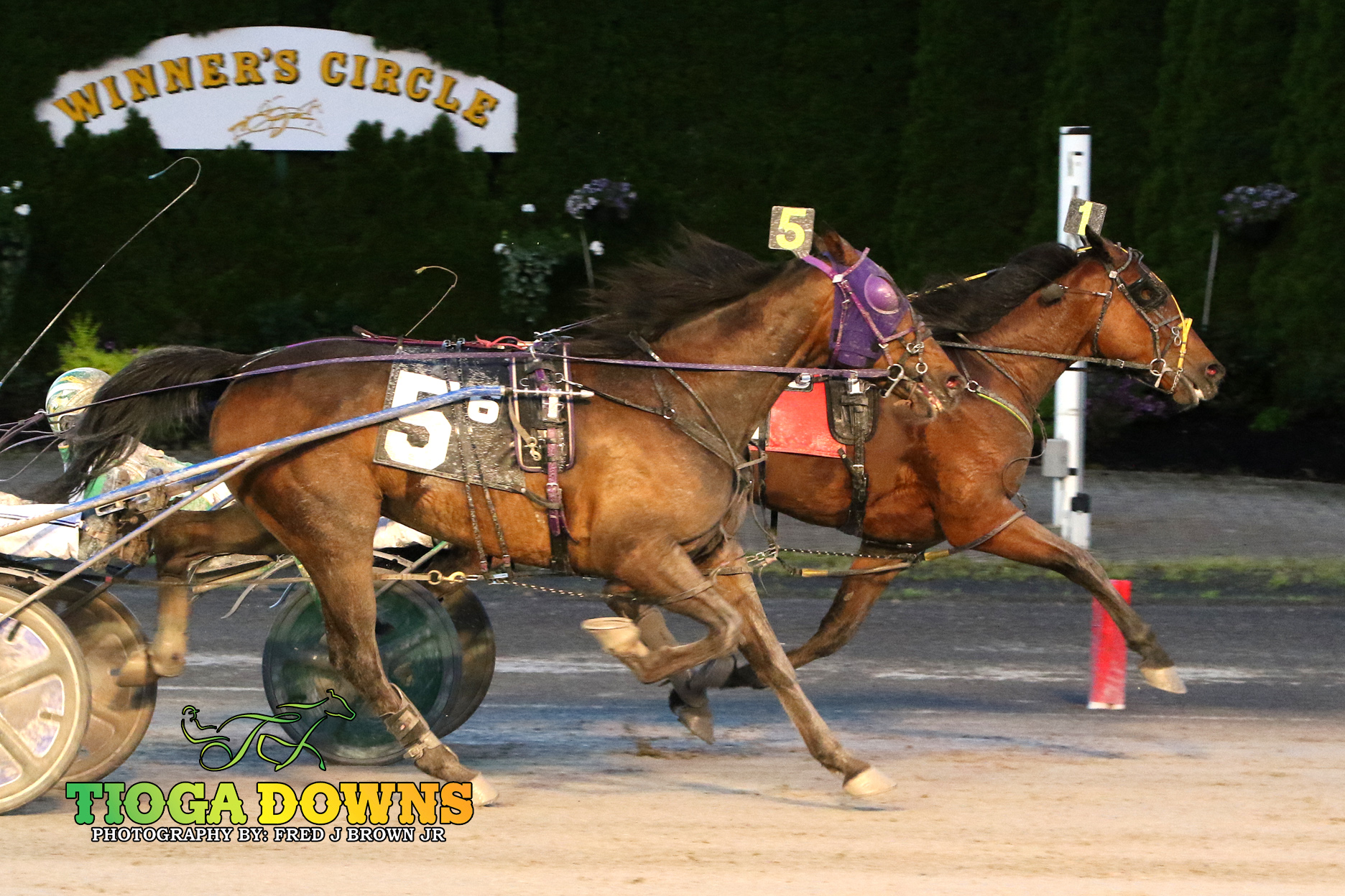 Stonebridge Bomber rocks them at Tioga