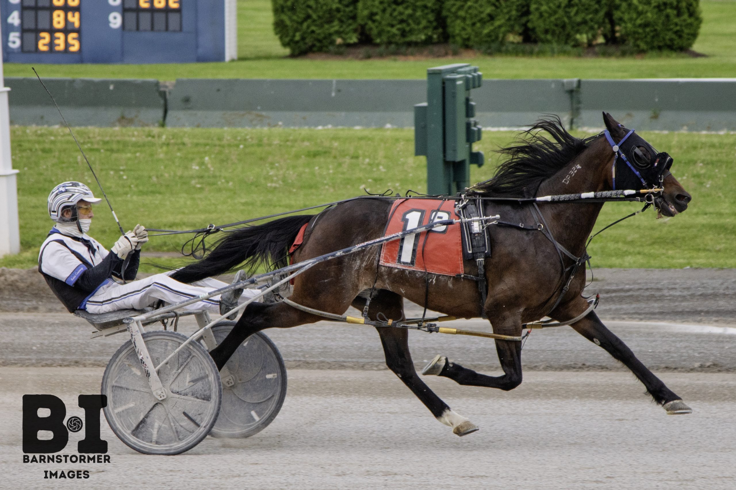 Stranger Things subdues Buffalo field