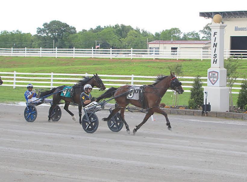 Stun Gun overcomes the outside eight post