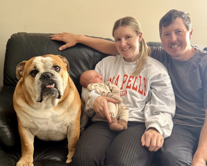 New mother back in the sulky this weekend