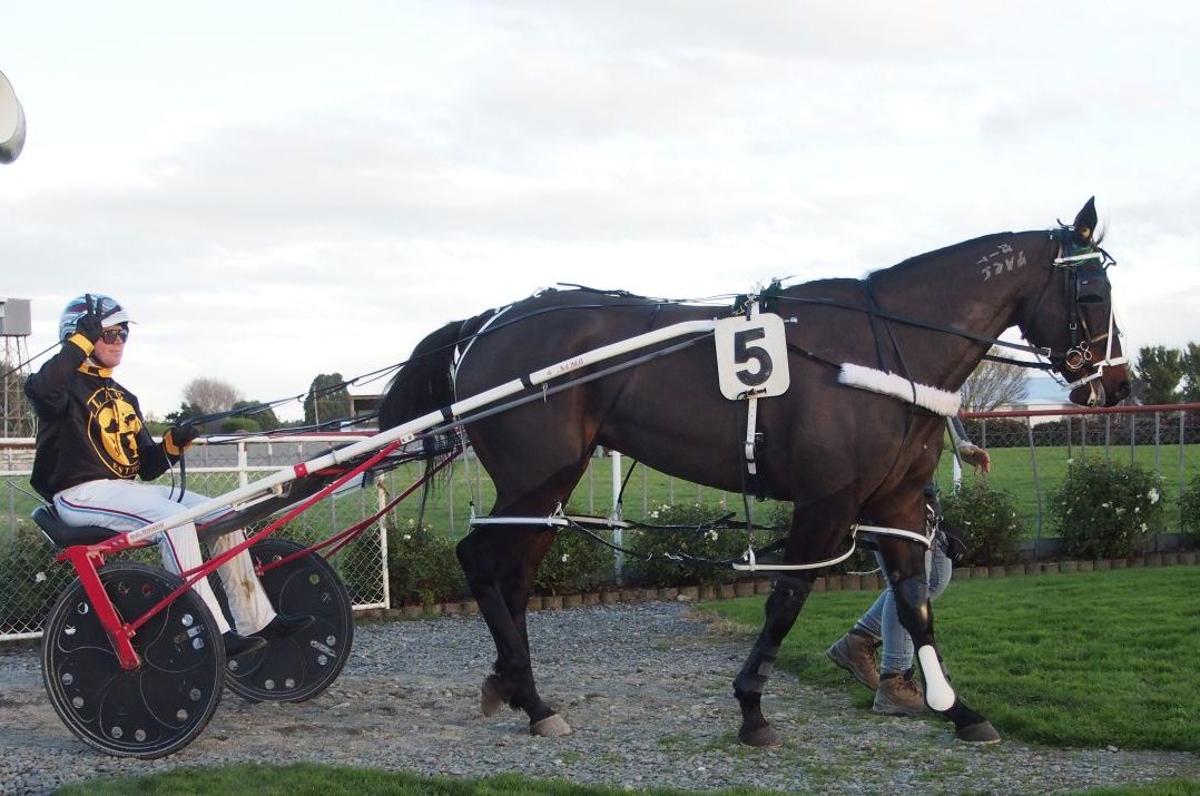 Classy gelding has an ‘effect’ of Carter