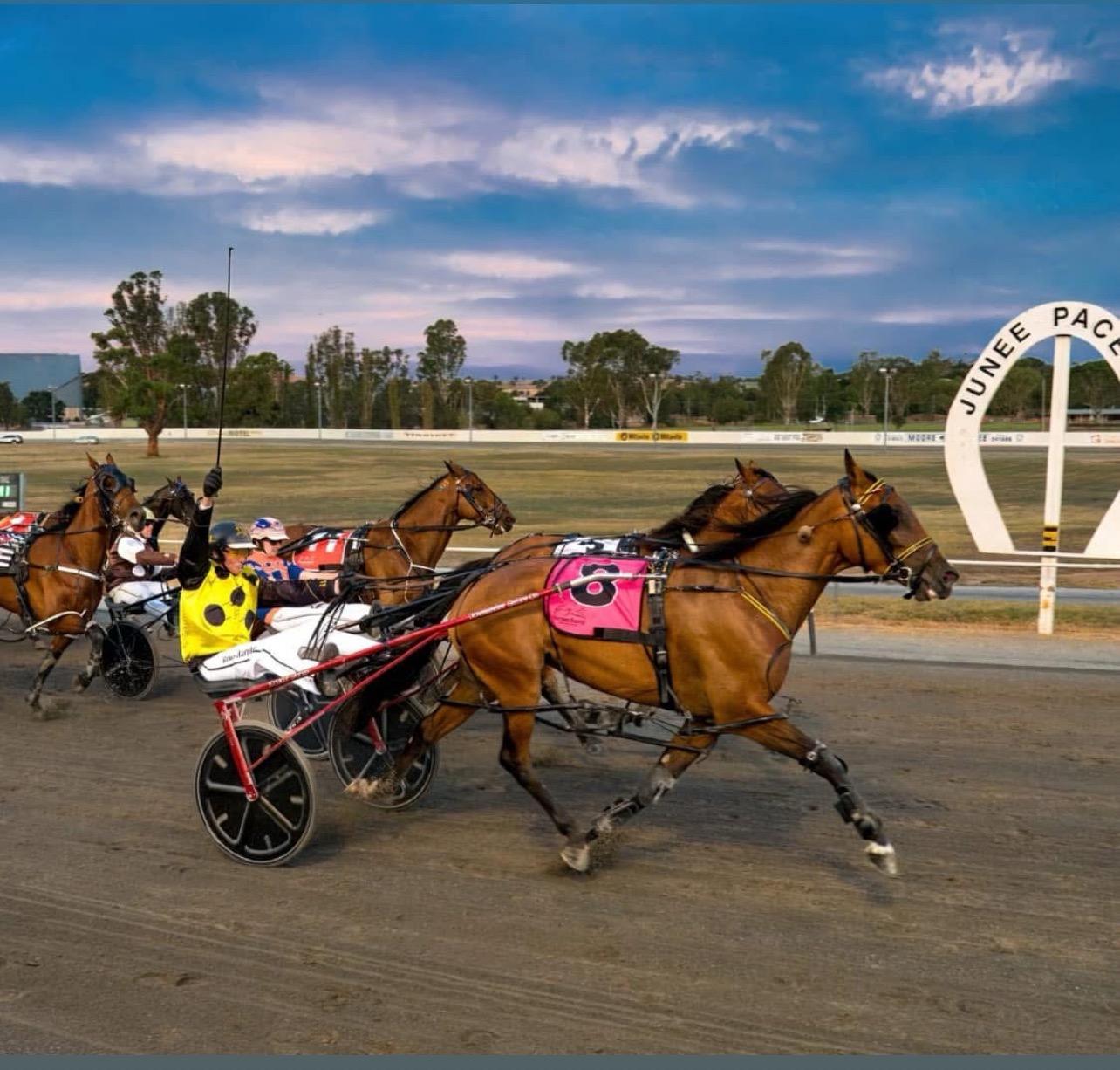 Tick A Loch switches off her rivals in Riverina Championships win