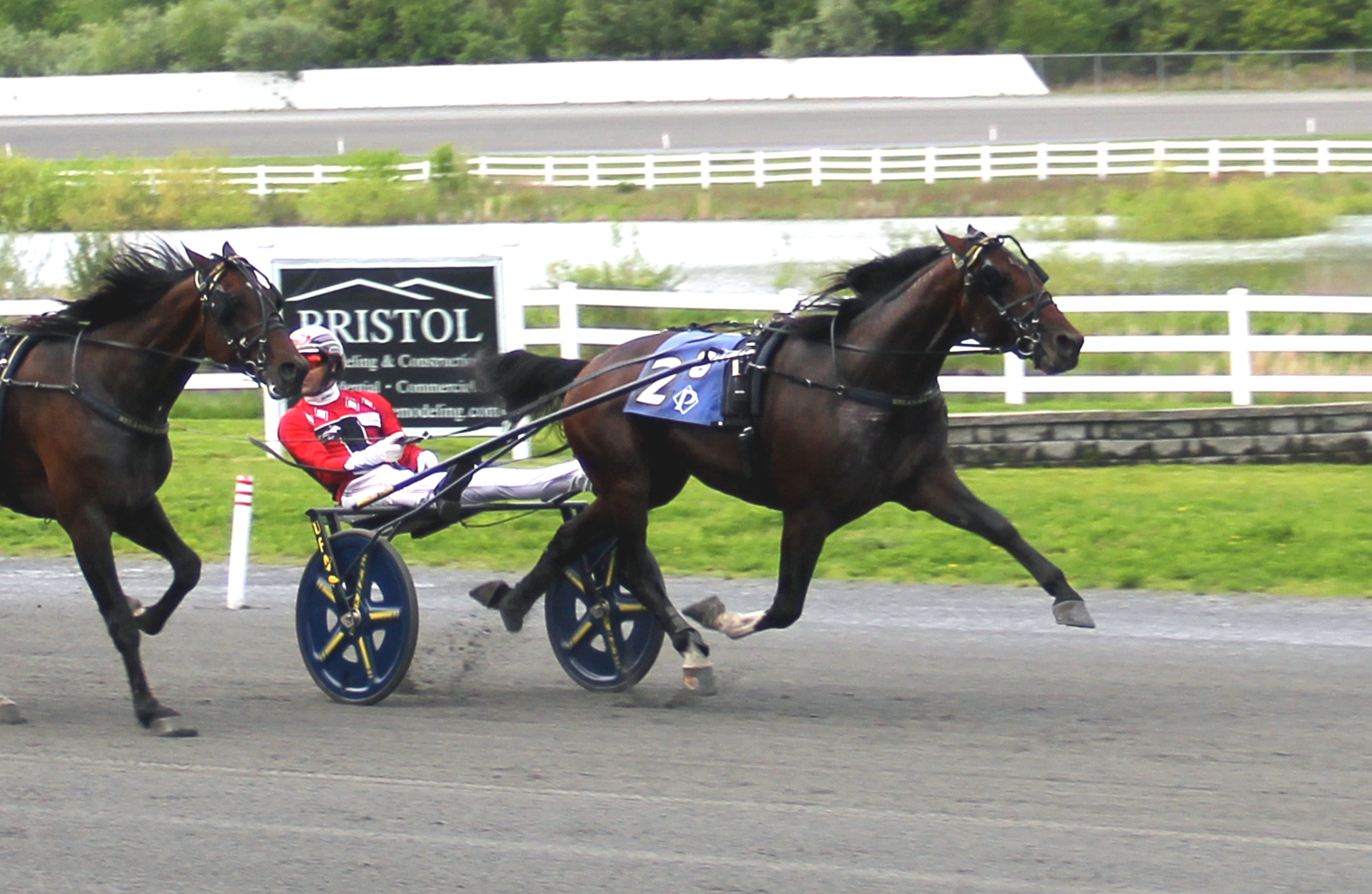Melander trainees take top two spots in $100,000 Bunker Hill Trot