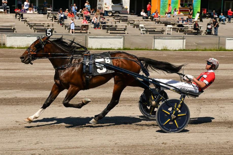 Dexter picks up two $59,100 NYSS divisions