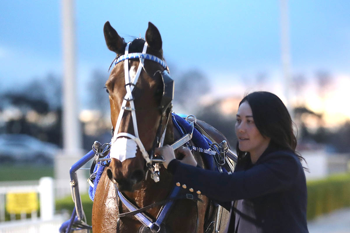 Six for Cullen across two venues