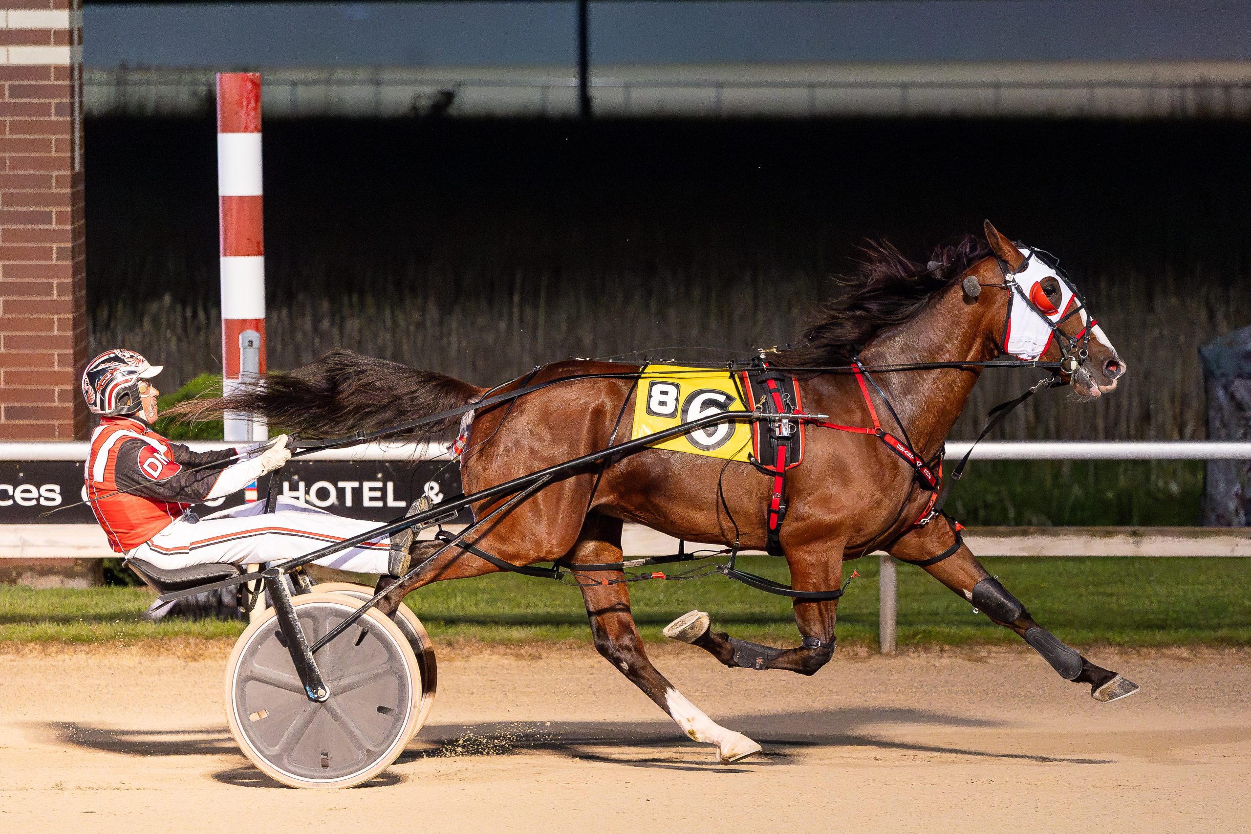 War Machine wins feature race battle