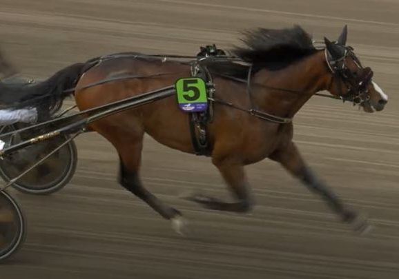 Wise Guy upsets in world record time