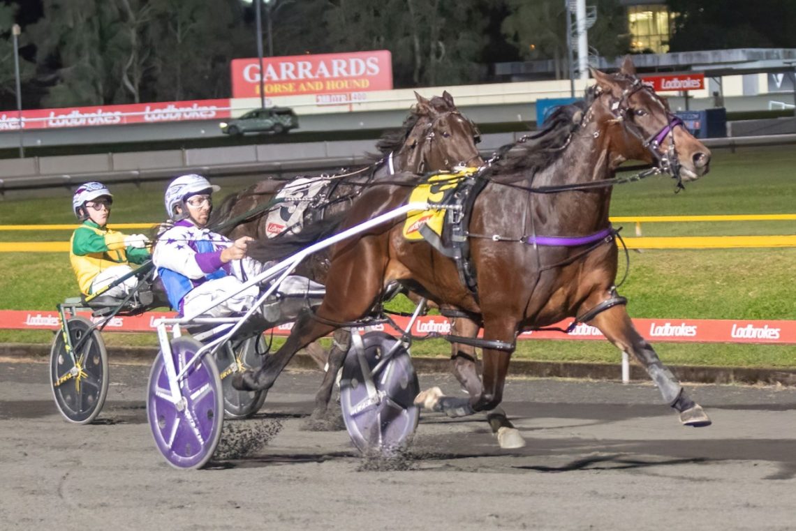 Weekly Spotlight on Breeding column and photos