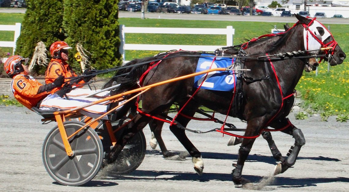Fwd: Mark Harris scores training hat trick at Bangor Racewsy
