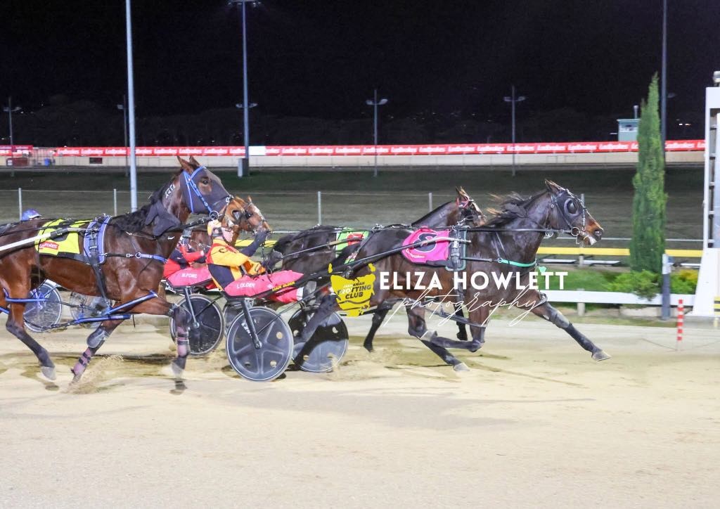 Older hits ground running in Tassie return