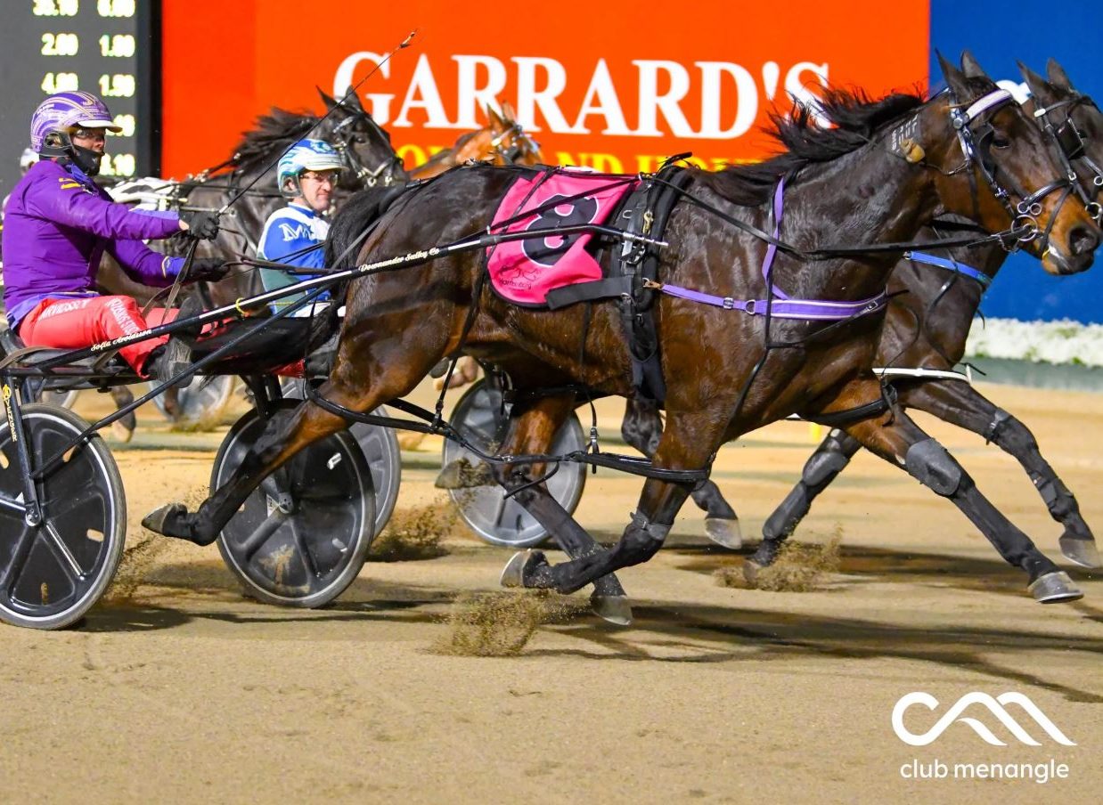 Star racemare set for Autumn Mix Sale