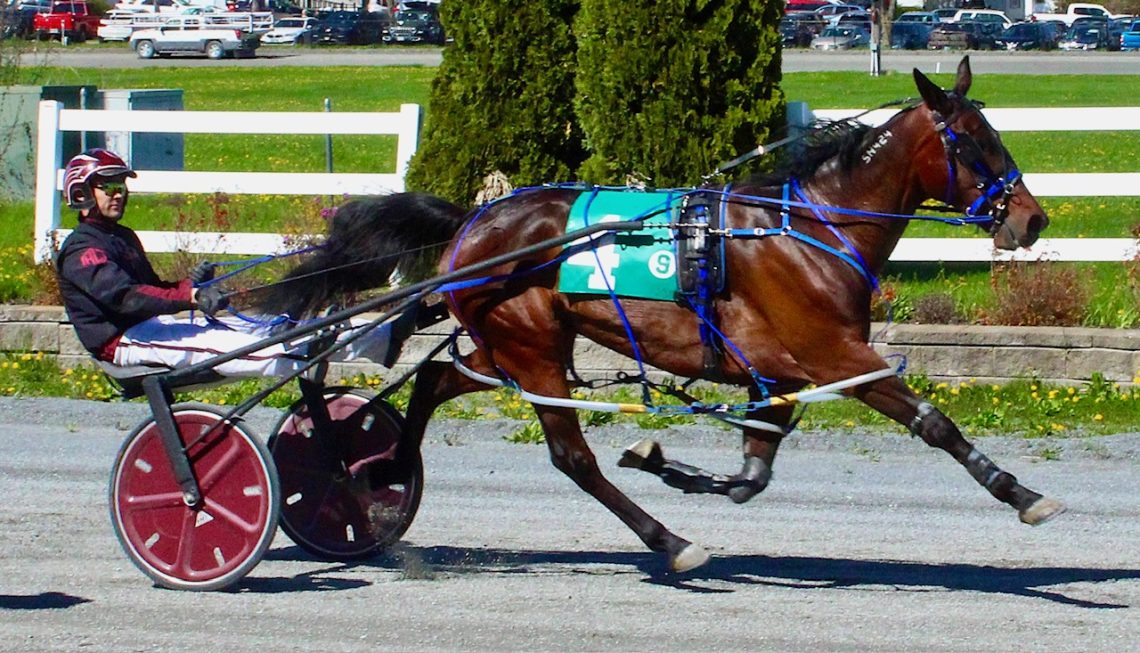 Fwd: Mark Harris scores training hat trick at Bangor Racewsy