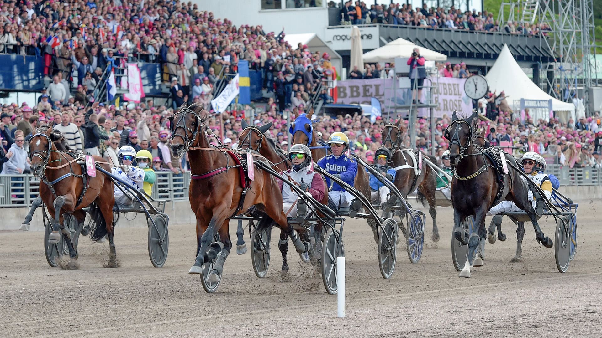Cobra Killer Gar out, 16 horse Elitloppet field complete