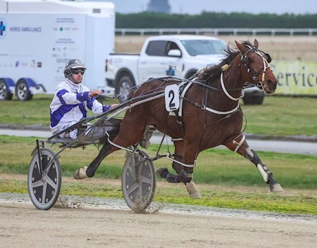 Last start winner one of 14 Lots offered this week