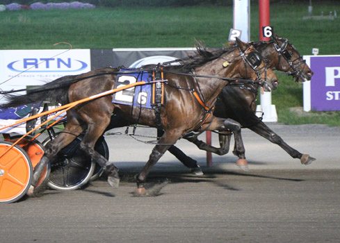 Hard Seven too quick in $115,000 Dexter Cup