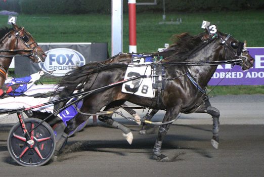 Dave Little’s Road To The Meadowlands Pace week two