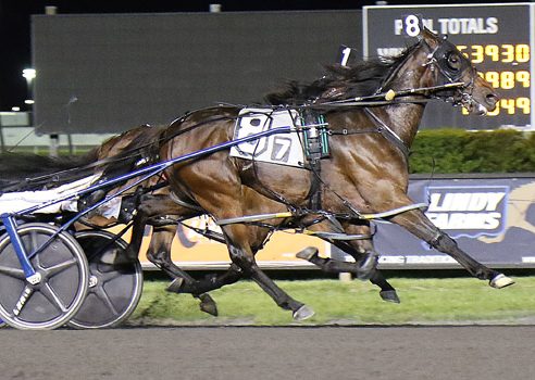 Trainer of the year seeking more Big M glory