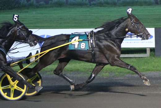 Kody in command again at Big M