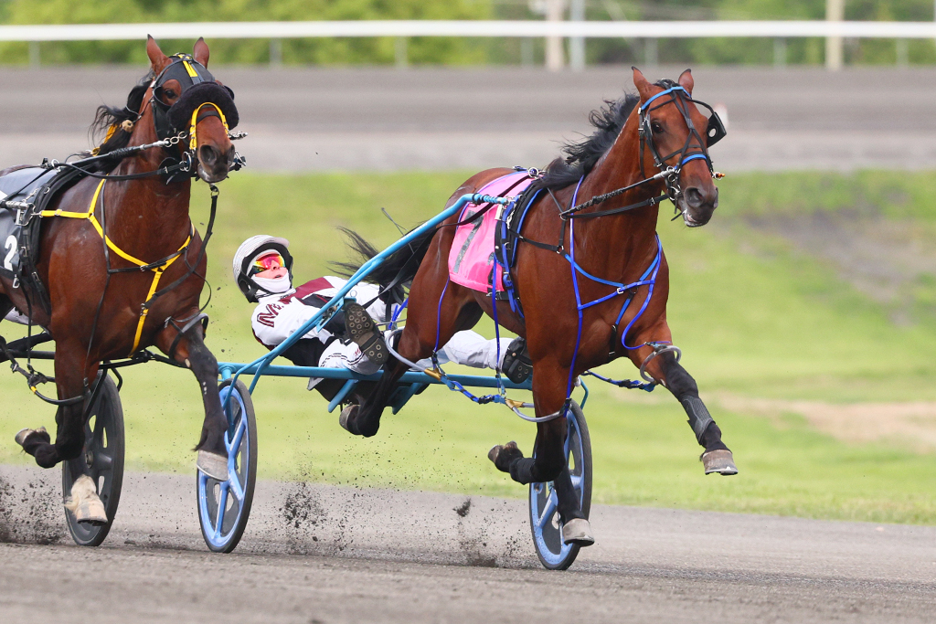 Prince Hal Hanover and Bourbon County take $80,000 Beach divisions