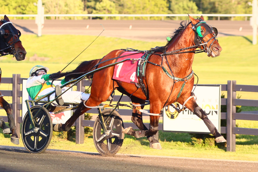 Graduate Series kicks off at Woodbine Mohawk Park