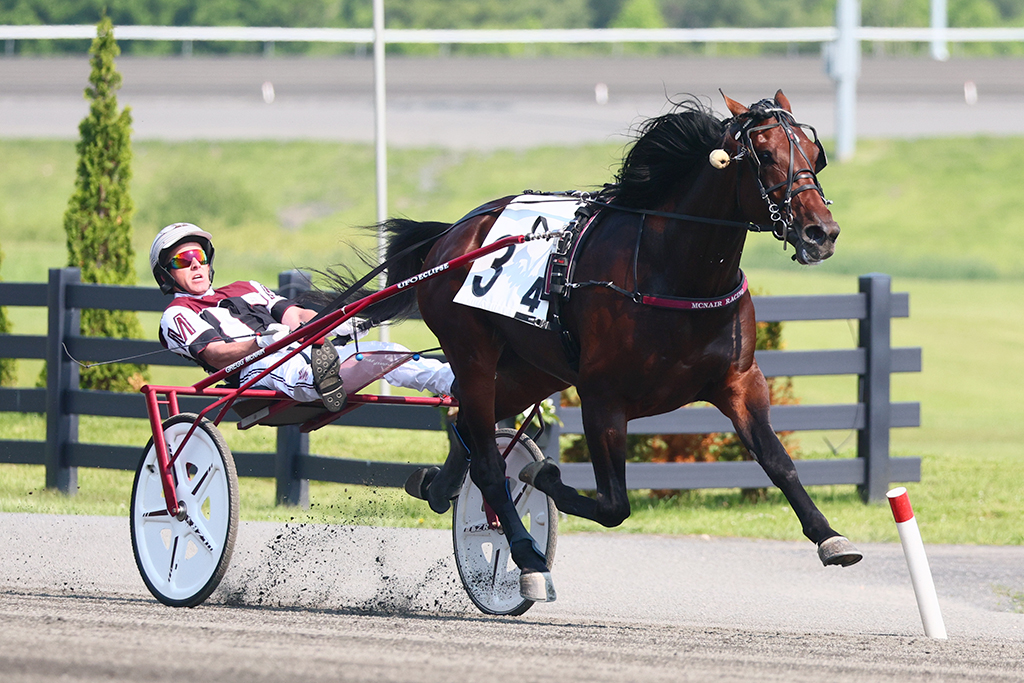 Upsets and favourites in Armbro Flight, Goodtimes Elims