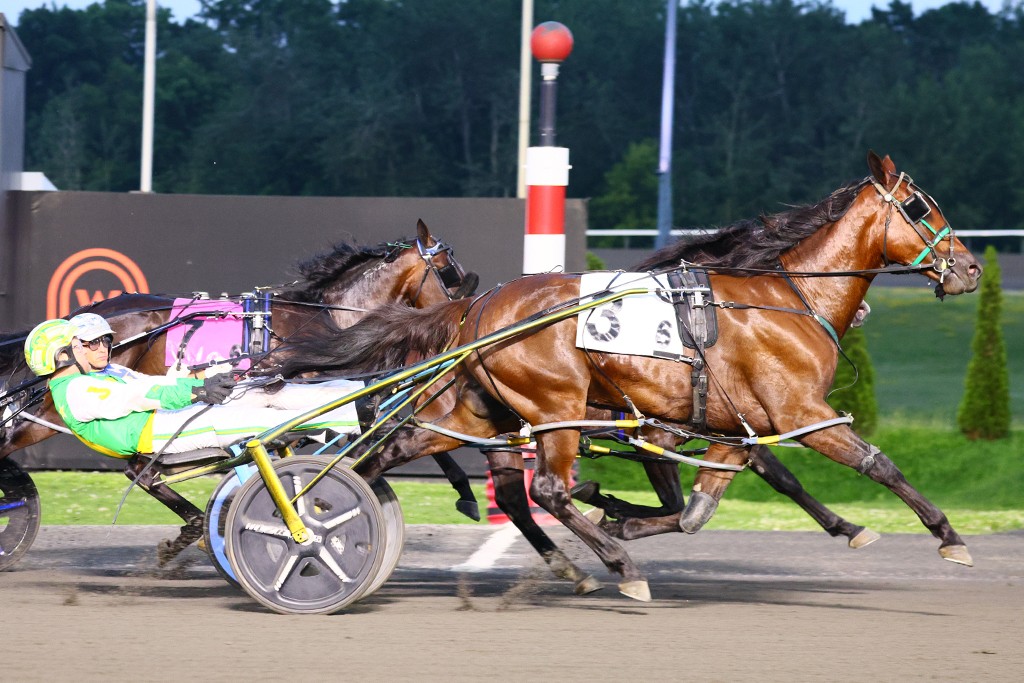 Jamieson sweeps Tompkins-Geers divisions