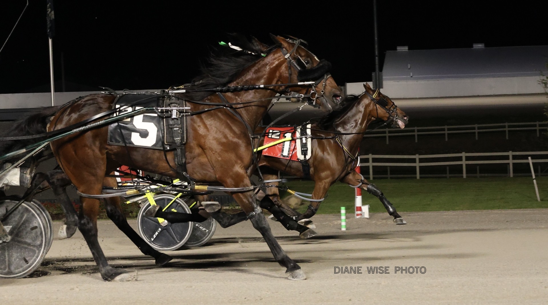 Dead heat highlights 2nd leg of Buckeye Stallion Series