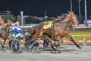 McCarthy to launch his Queensland winter raid on Saturday