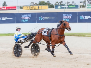 Three Protostar runners for powerful stable