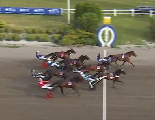 A Fair Day wins STL Gold