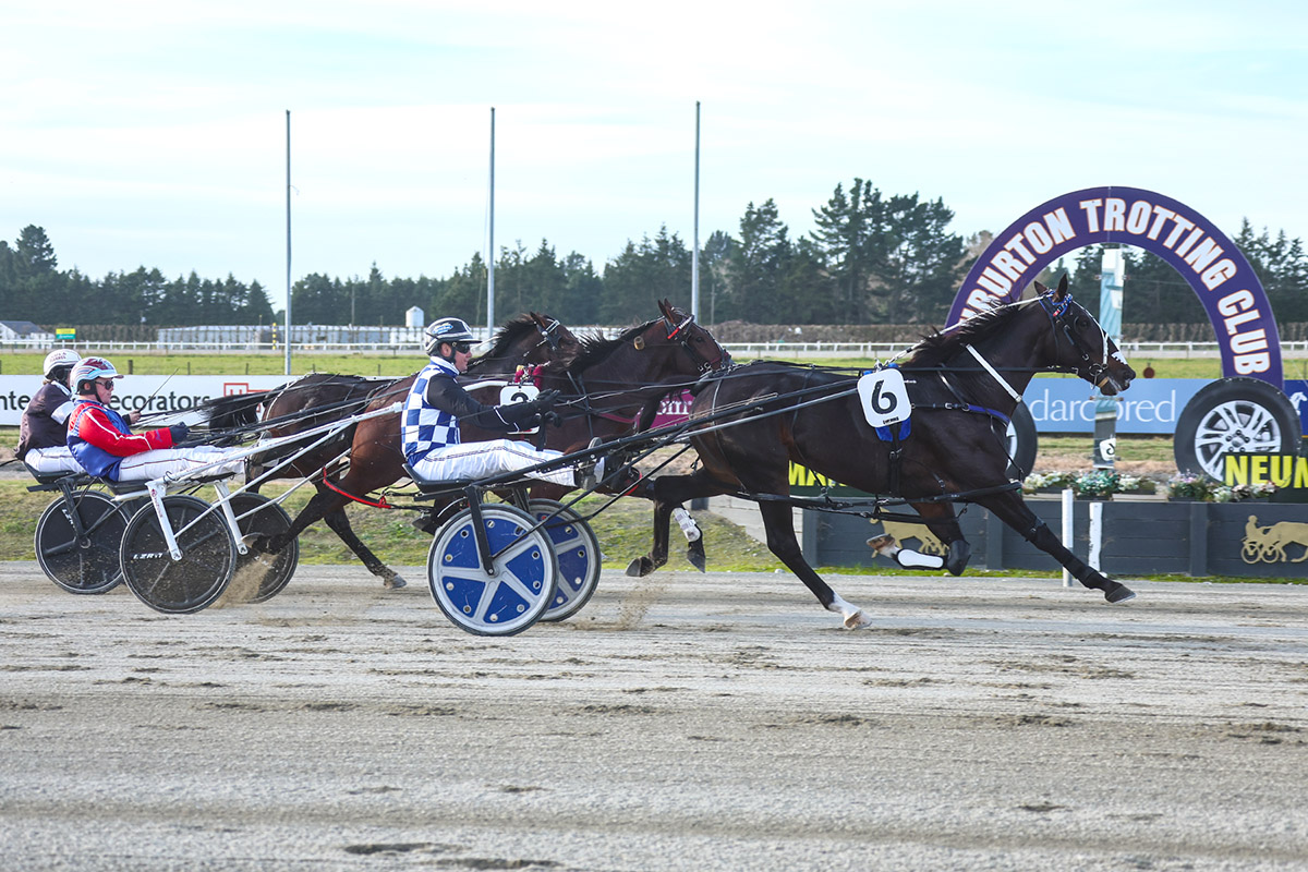 Sapling Stakes win special for Corps