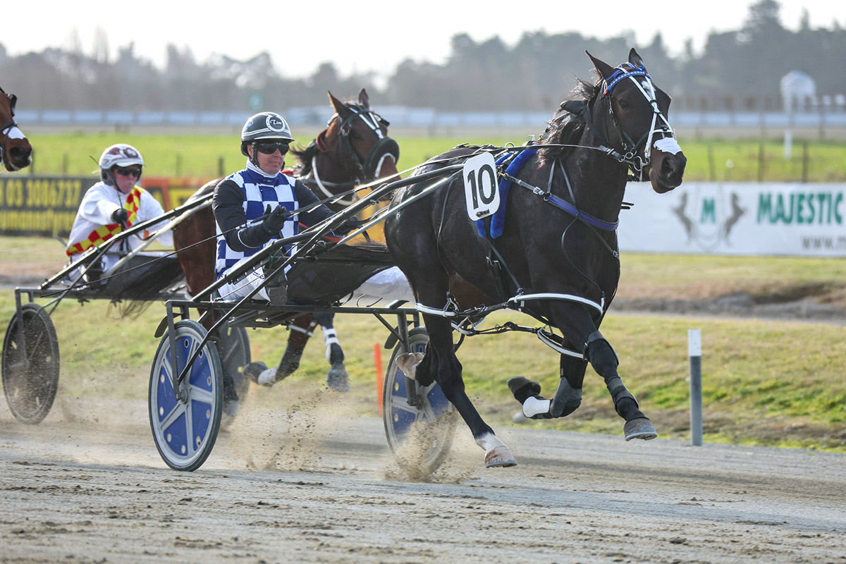Louie wins Champion Stakes