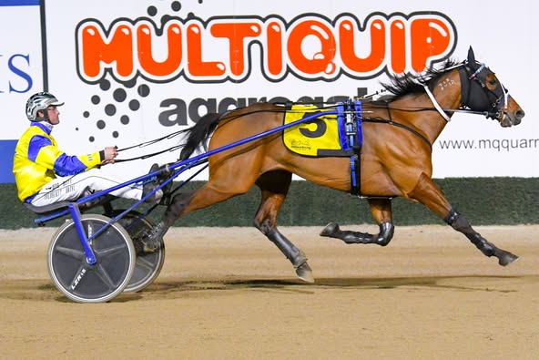 Bet N Win on target for the Inter Dominion with debut win in Sydney