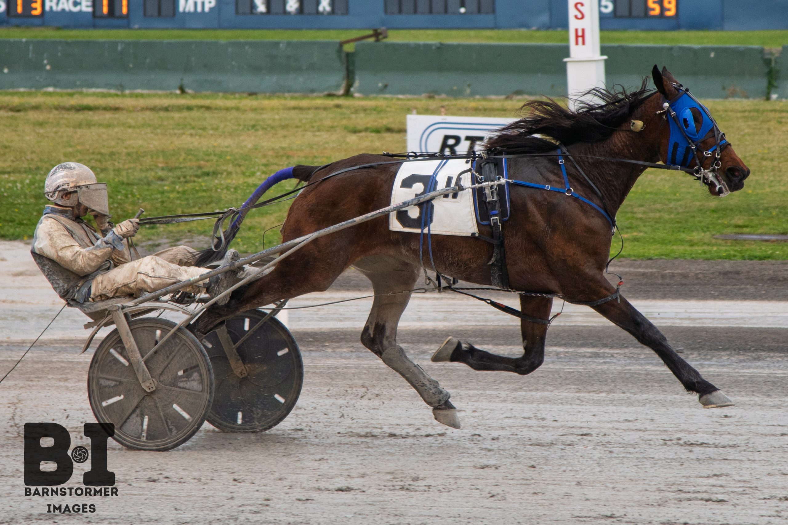 Big Baller Beane wires field in Open Trot