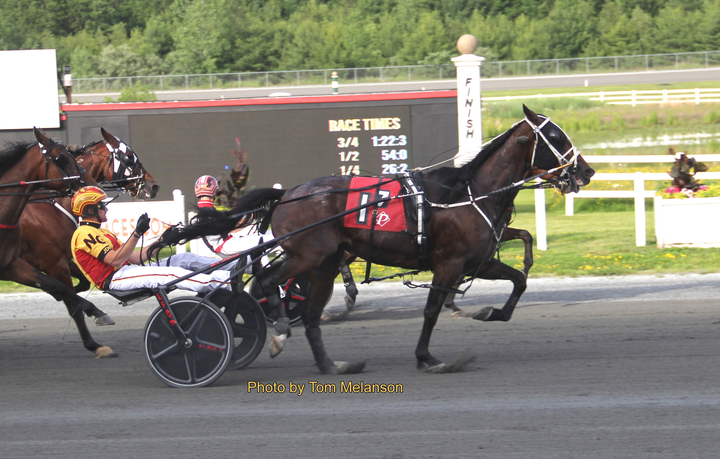Big harness racing performances by man and beast